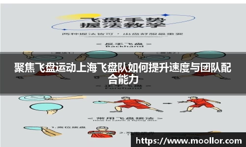 聚焦飞盘运动上海飞盘队如何提升速度与团队配合能力