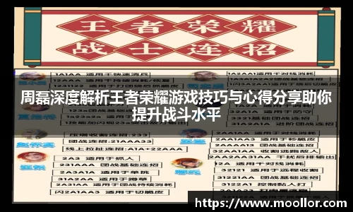 周磊深度解析王者荣耀游戏技巧与心得分享助你提升战斗水平